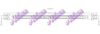 Brovex-Nelson H5844 Brake Hose